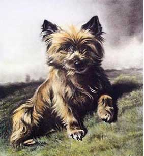 Work done by Rosa Bonheur